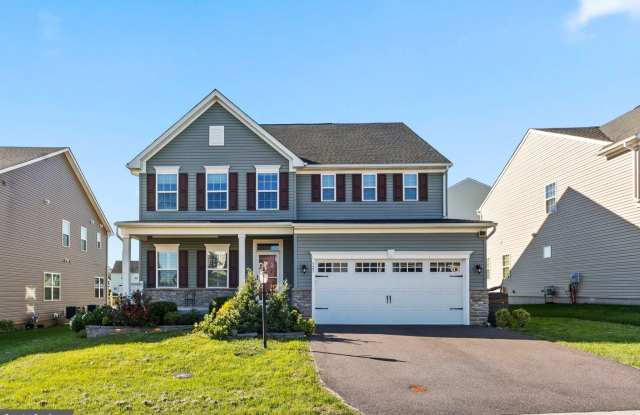 523 SPRING MANOR Boulevard Gallery 1