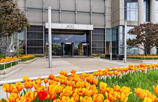 600 N LAKE SHORE Drive Gallery 2
