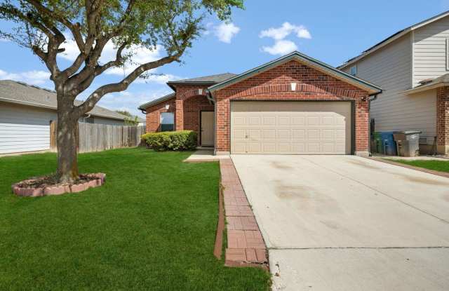 10019 Tiger Bay photos photos