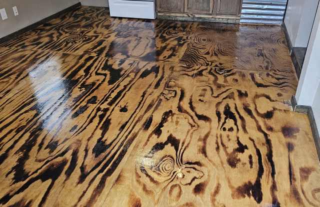 618 1/2 Wilson Avenue photos photos