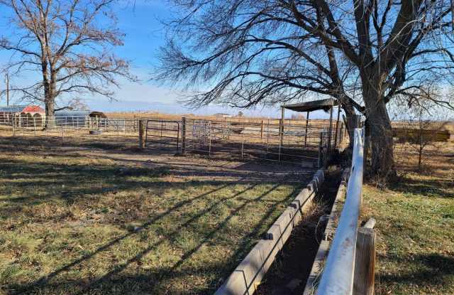 Don't miss your chance beautiful 3 bedroom farm house avail NOW Gallery 4