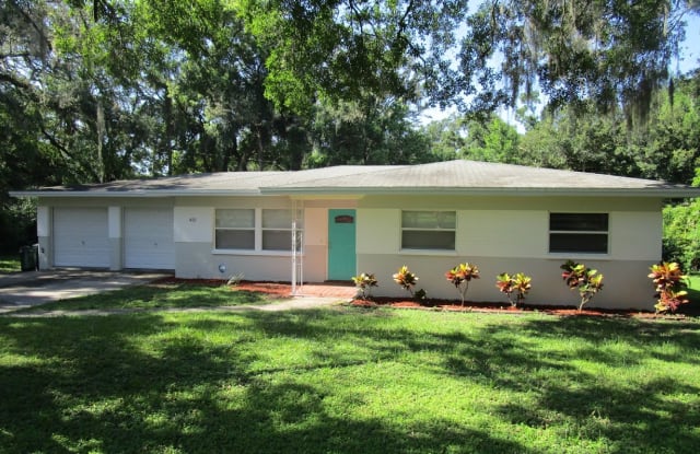 415 Park Ridge Ave - 415 Park Ridge Avenue, Temple Terrace, FL 33617