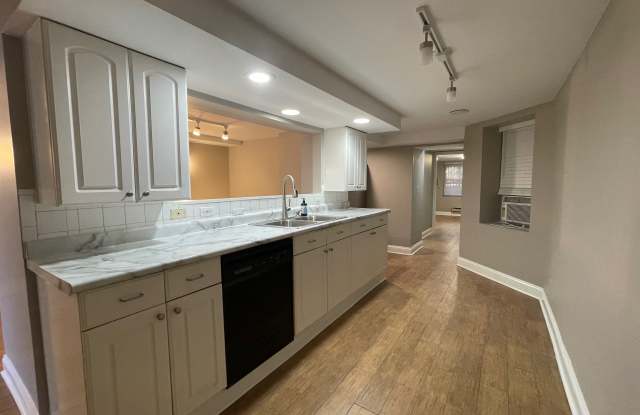 718 W Cornelia Ave - 718 West Cornelia Avenue, Chicago, IL 60657