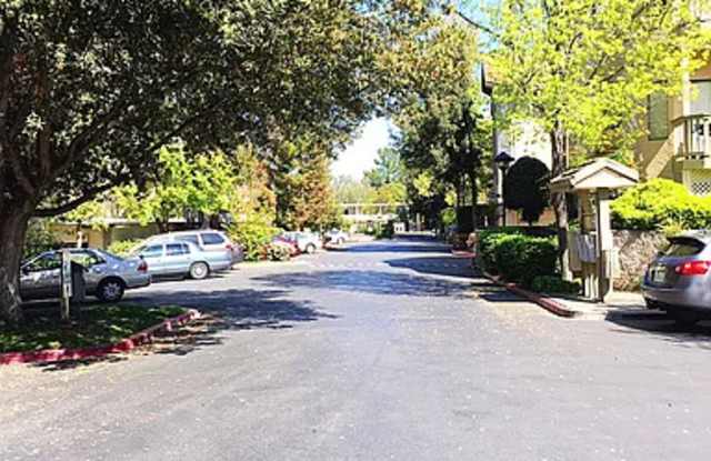 1912 Magdalena Cir Gallery 4