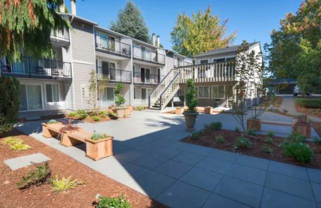 Solana Apartments Gallery 3