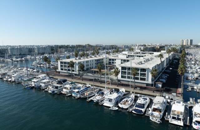 Dolphin Marina Gallery 4