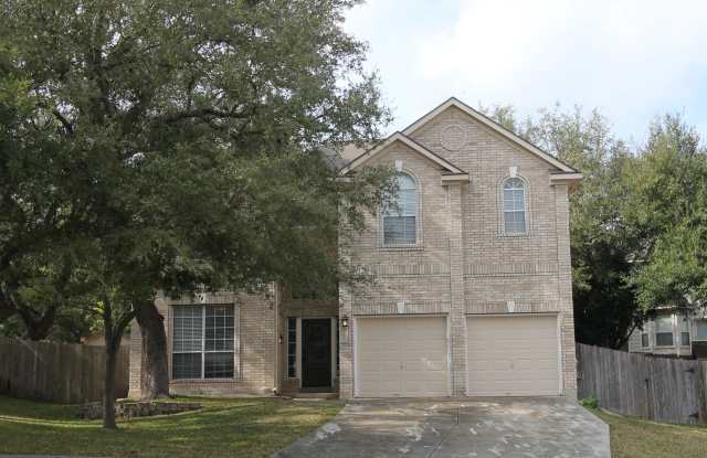 2616 Tree Crown photos photos
