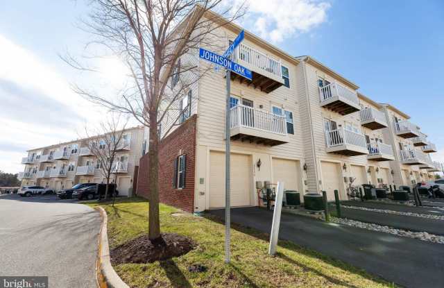 24590 JOHNSON OAK TERRACE Gallery 2