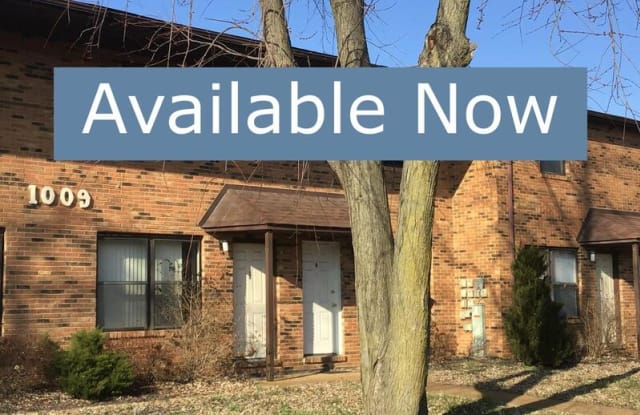 1009-3 Belle Valley - 1009 Belle Valley Drive, Belleville, IL 62220