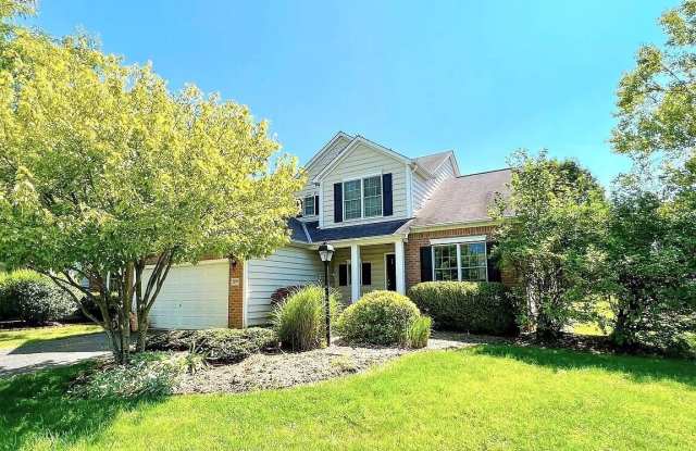 7279 Summerfield Drive Gallery 1