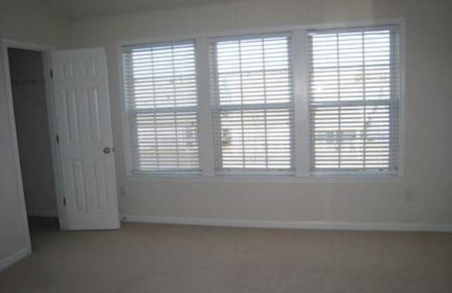 13100 Region Trace Gallery 2