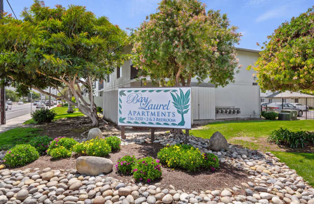 Bay Laurel photos photos