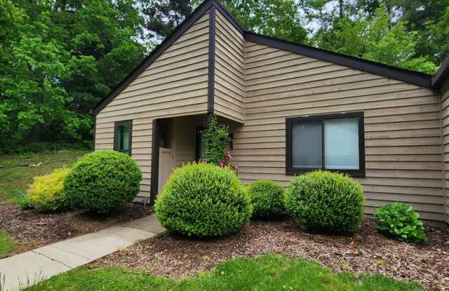 Black Mountain Rental! photos photos