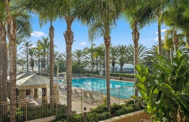 5047 SCHOLARSHIP photos photos