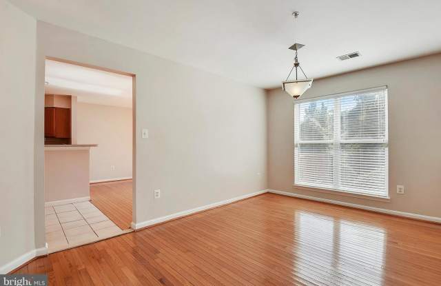 3725 POGONIA CT #6F Gallery 4