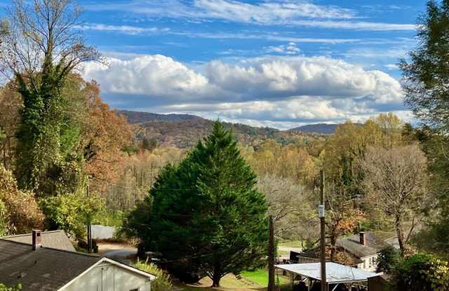 85 Dixieland Lane Gallery 2