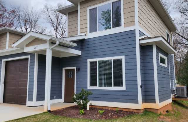 Black Mountain Rental! Gallery 1
