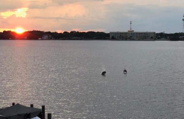 210 Snug Harbour Drive - 210 Snug Harbour Drive, Shalimar, FL 32579
