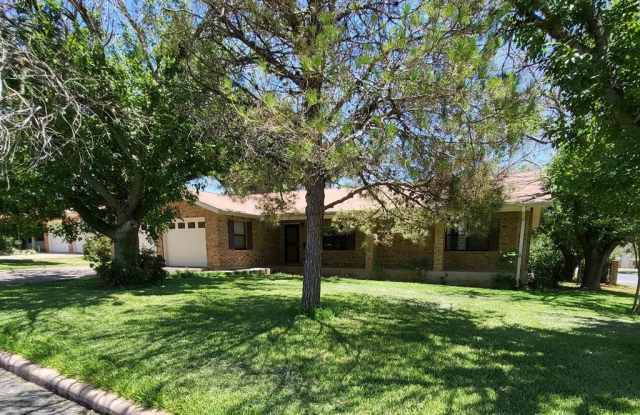 410 Nimitz Circle - 410 Nimitz Circle, Fredericksburg, TX 78624