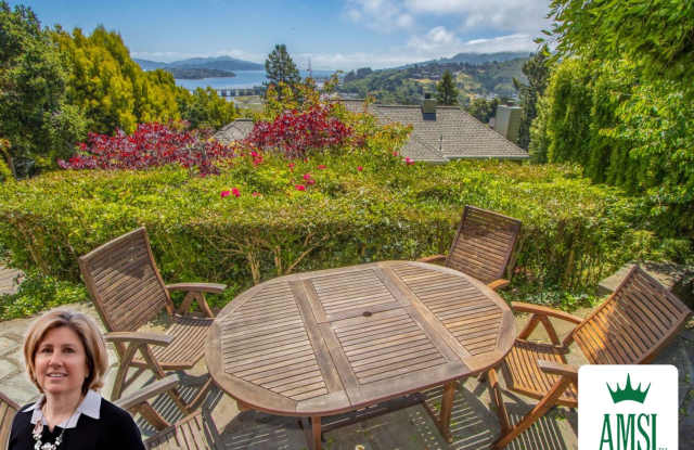 Fabulous Mill Valley Home photos photos
