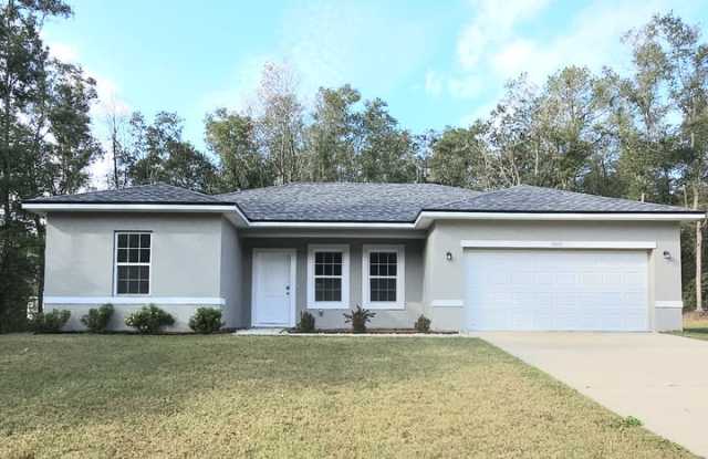 10616 N Didiscus Dr photos photos