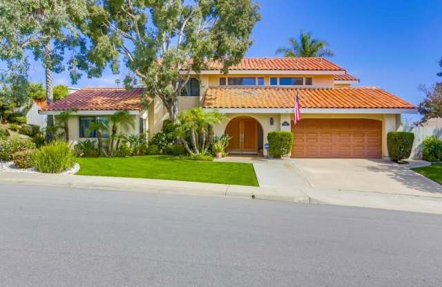Beautiful La Jolla Alta Home! photos photos