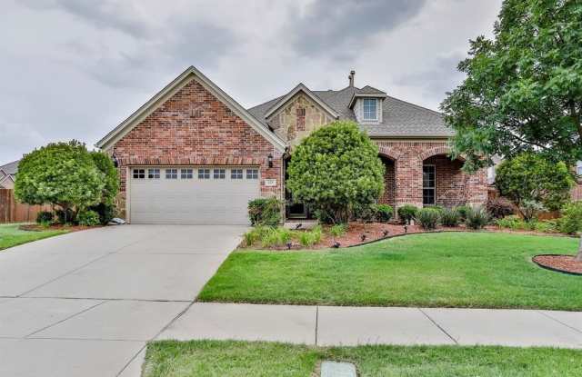 223 Aspen Lane - 223 Aspen Lane, Frisco, TX 75036