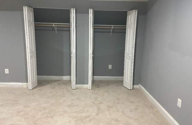 2176 Port Potomac Ave Basement Gallery 2