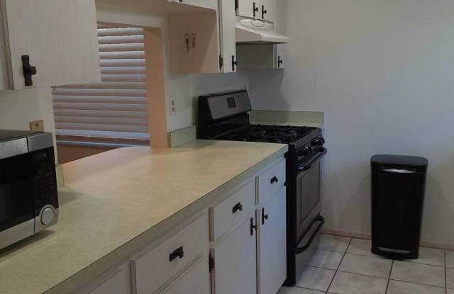 5019 Village Gardens Dr., #31 Gallery 4