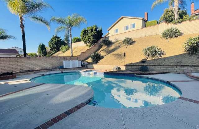 2238 Wormwood Drive Gallery 2