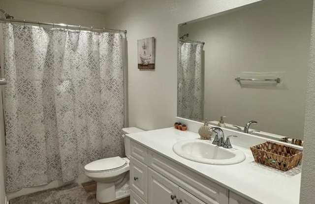 29045 Silver Stirrup Way-Newer Home Gallery 2