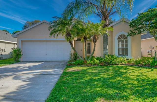 328 Tavernier Dr - 328 Tavernier Drive, Oldsmar, FL 34677