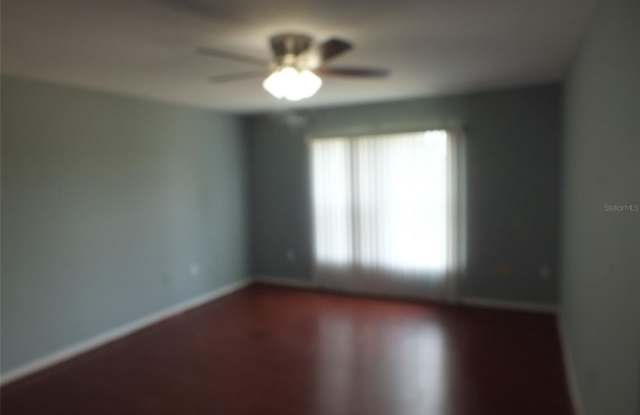 437 FISH HAWK Drive Gallery 4