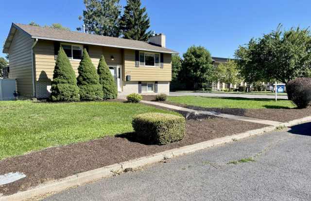 Versatile 4BR/2BA Split-Level South Hill Home! photos photos