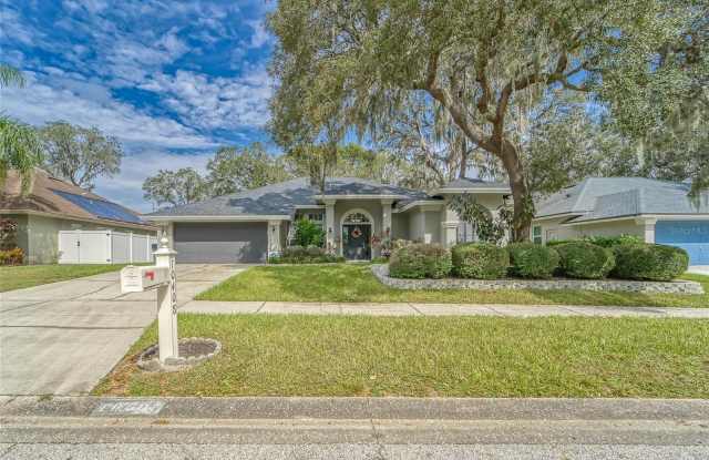 10408 NIGHTENGALE DRIVE - 10408 Nightengale Drive, Riverview, FL 33569