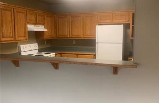 11002 Shady Oaks Drive Gallery 4