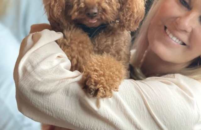 Nice two bedroom condo on one level in Hermitage photos photos Nice two bedroom condo on one level in Hermitage photos photos