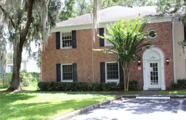 13767 JUNIPER BLOSSOM DRIVE - 13767 Juniper Blossom Dr, Lake Magdalene, FL 33618