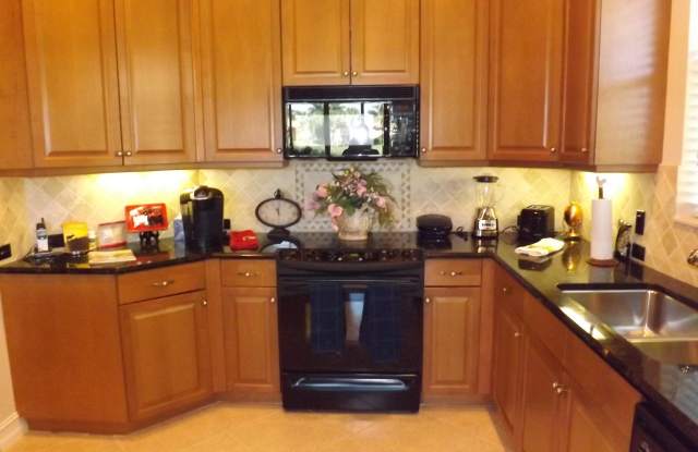 10247 Orchid Reserve Drive Gallery 4
