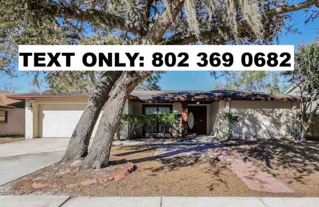 1214 Letona Ln - 1214 Letona Lane, Bloomingdale, FL 33596