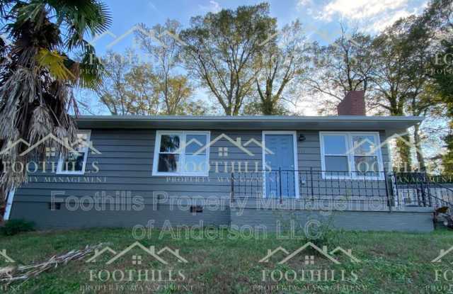111 Marion St - 111 Marion Street, Anderson, SC 29621