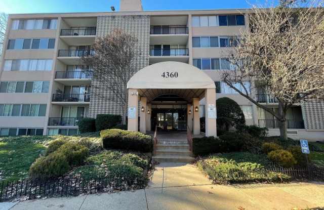 4360 IVYMOUNT Court Gallery 1