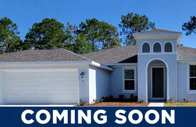COMING SOON!! BEAUTIFUL 4/2 HOME 3 CAR GARAGE IN PALM COAST Gallery 1