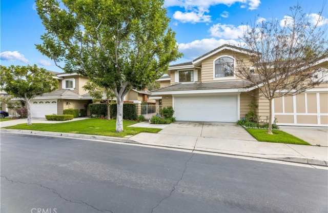 55 Tidewind photos photos