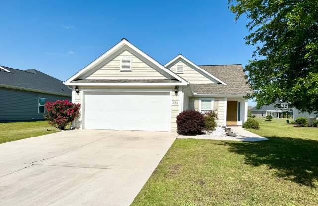 Like New 3 Bedroom & 2 Bath pond front home in Hillsborough! Enjoy the Community Pool, Playground, Lighted streets & Sidewalks! Lovely Neighborhood! photos photos