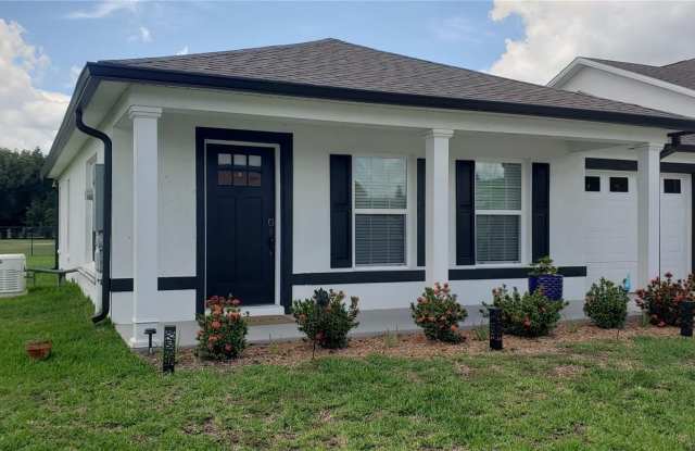 4415 CHANDLER AVENUE - 4415 Chandler Avenue, Hillsborough County, FL 33567