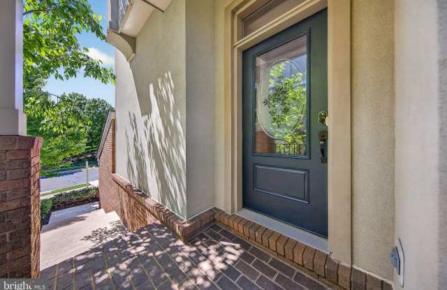 23394 EVENING PRIMROSE Square Gallery 3