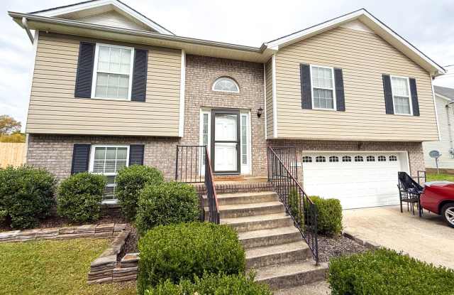 4 Bedroom 3 Bathroom Home - 985 Silty Drive, Clarksville, TN 37042