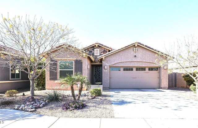 3923 E DESERT BROOM Drive photos photos