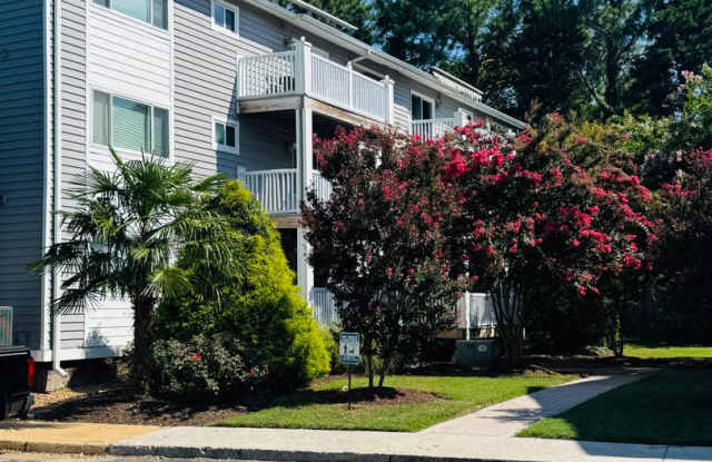 Gorgeous 2 Bedroom/2 Bath Condo photos photos